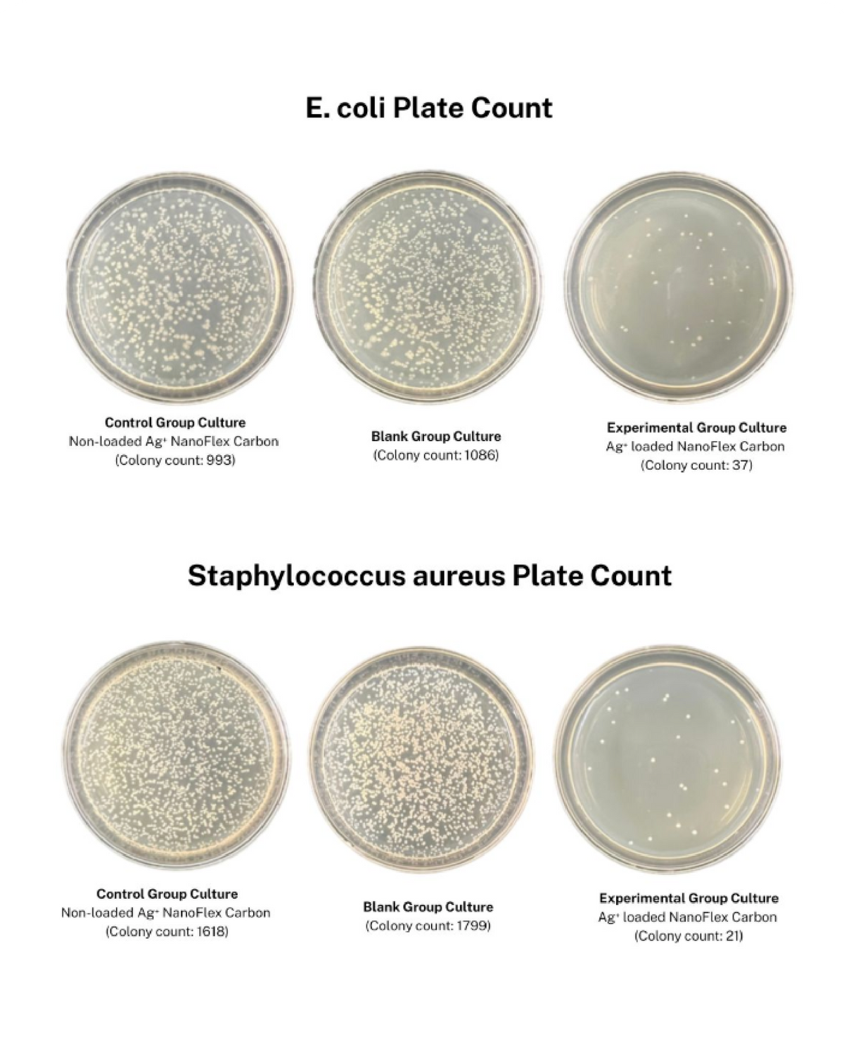 Culture State Colony Count